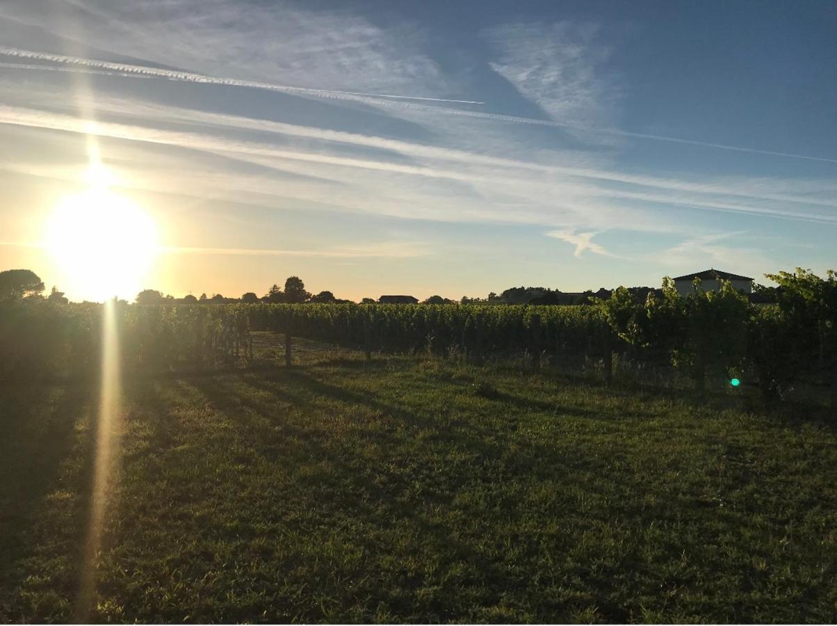 L'Oree Des Vignes Saint-Émilion Екстериор снимка